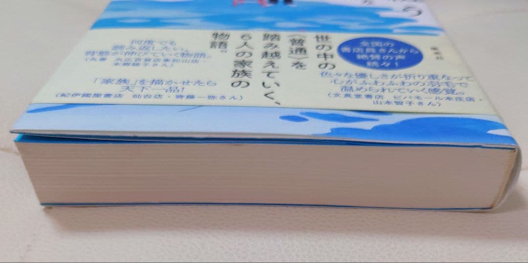 水を縫う 寺地はるな 集英社 — image 3