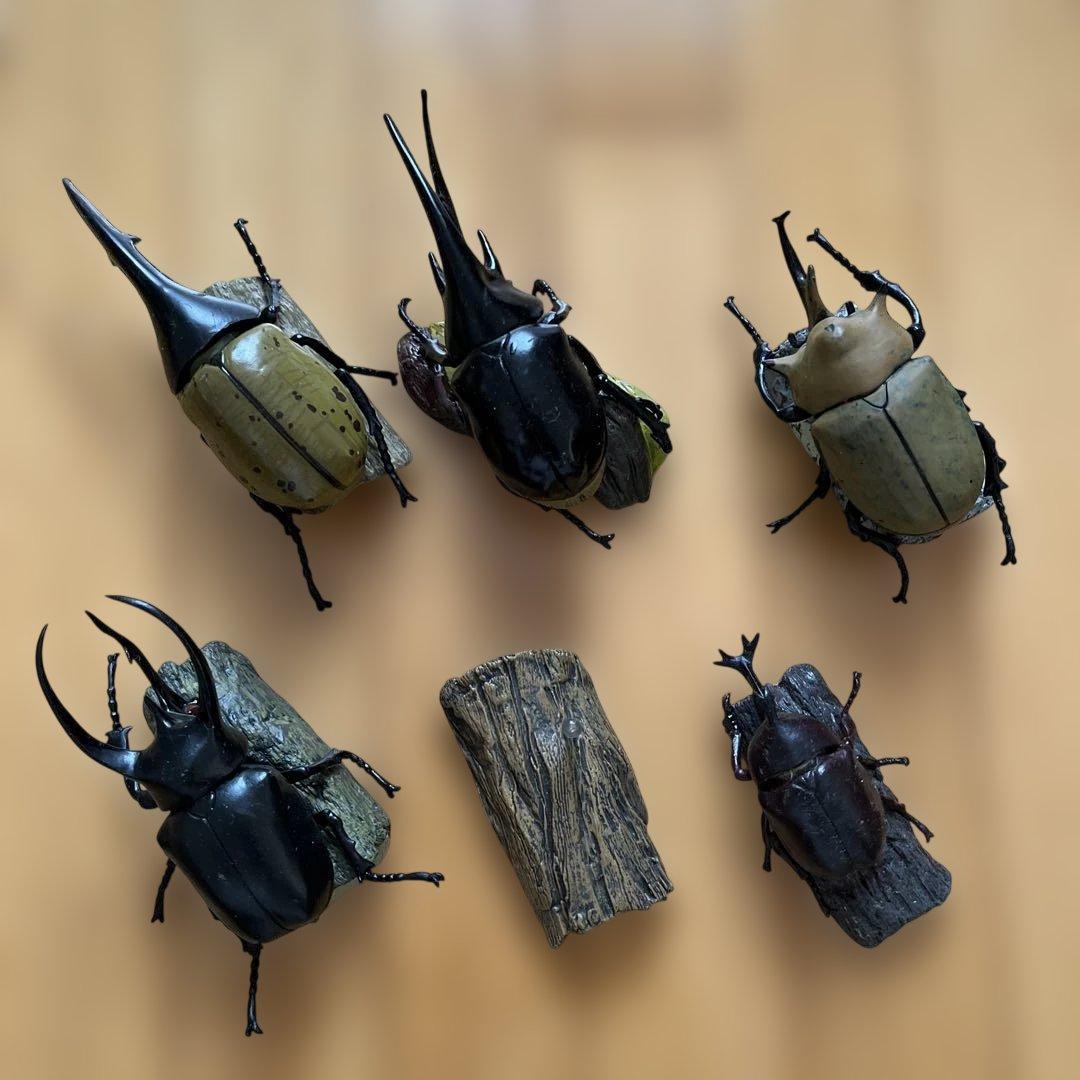 ライナセラスビートル(カブトムシ)ボックス フィギュア5種+おまけ — image 3