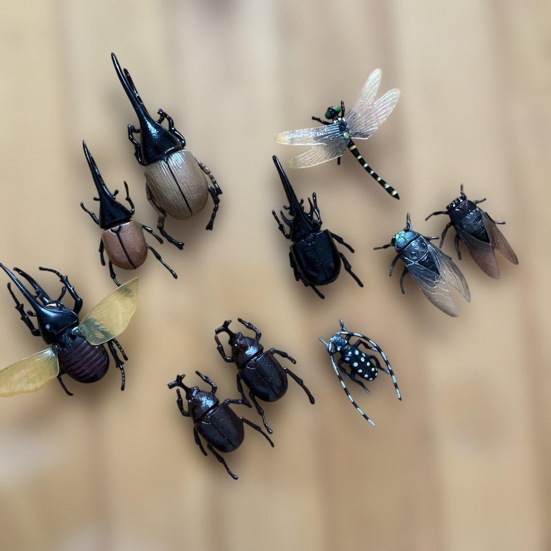ライナセラスビートル(カブトムシ)ボックス フィギュア5種+おまけ — image 4