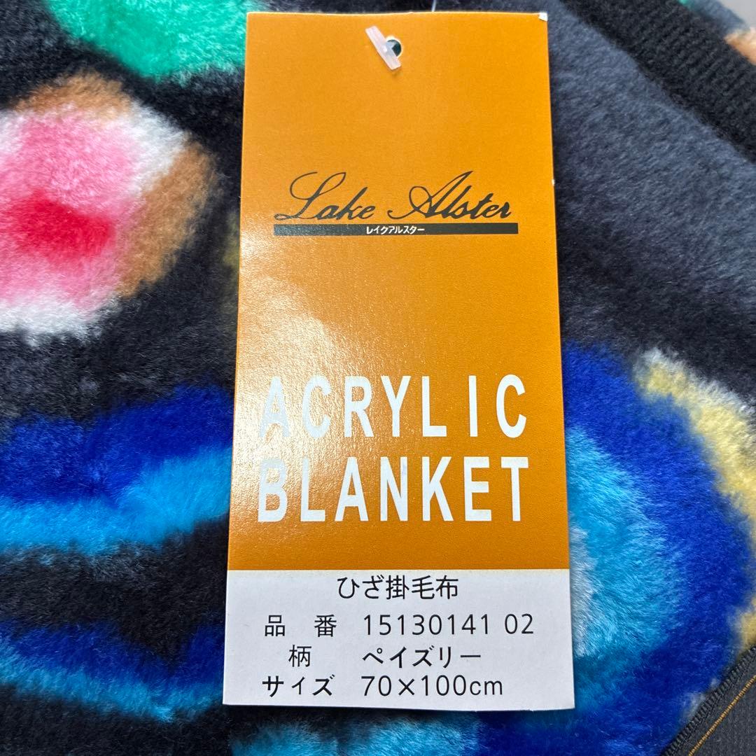 膝掛け毛布　ペイズリー　レイクアルスター　カワサキ — image 3
