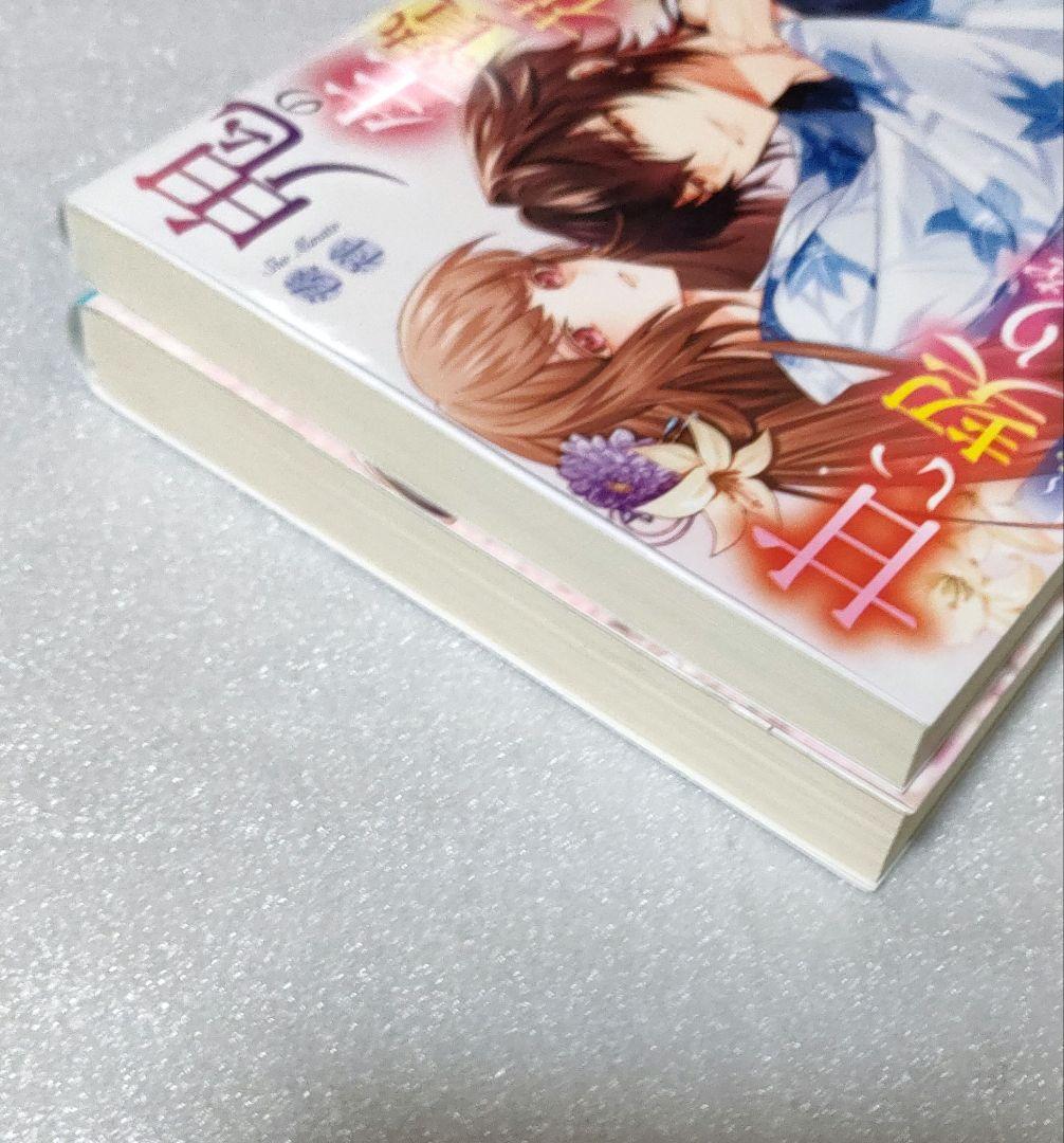 鬼の生贄花嫁と甘い契りを６・７完　湊 祥 — image 4