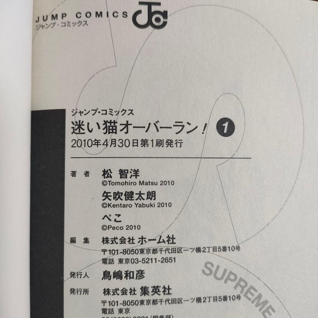 良品 迷い猫オーバーラン 1巻 初版 矢吹健太朗 松智洋 — image 3