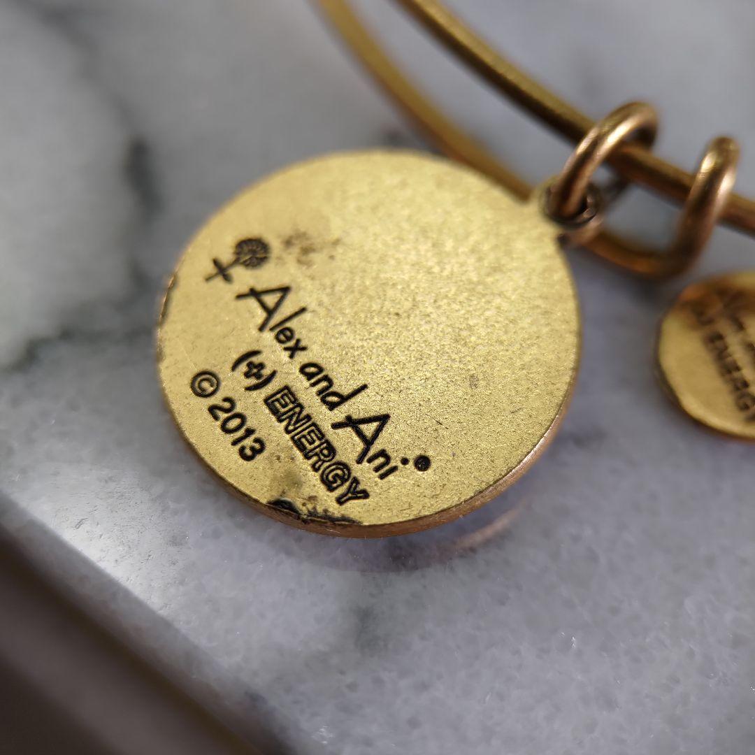 ALEX AND ANI ゴールドフープ プレート ブレスレット +ENERGY — image 2