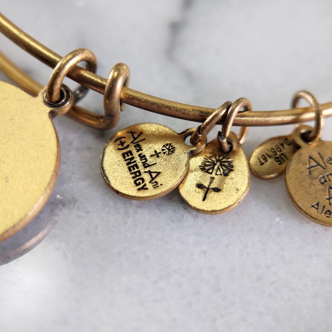ALEX AND ANI ゴールドフープ プレート ブレスレット +ENERGY — image 3