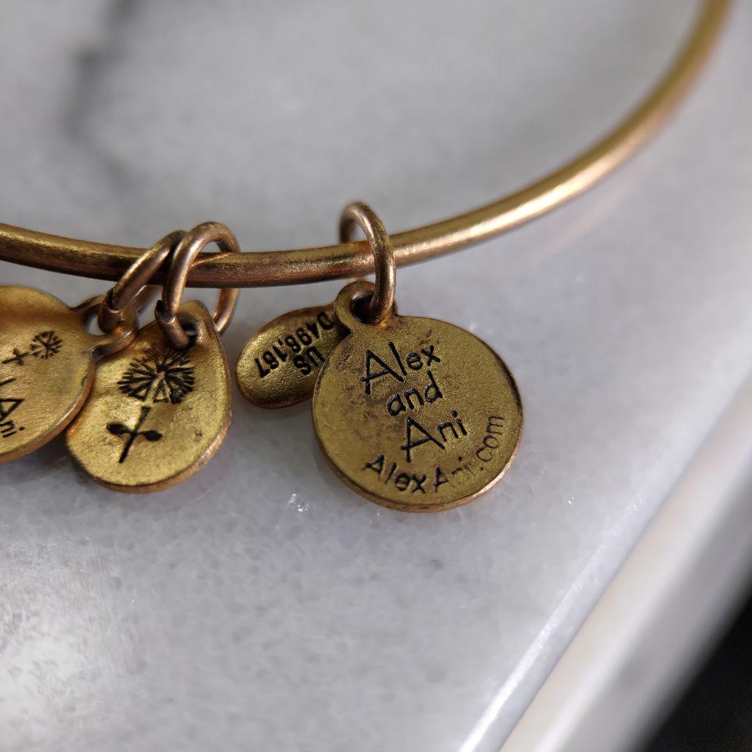 ALEX AND ANI ゴールドフープ プレート ブレスレット +ENERGY — image 4