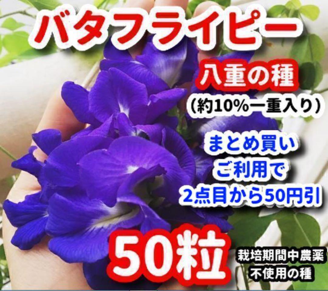 あくびちゃん様 リクエスト 2点 まとめ商品 — image 2