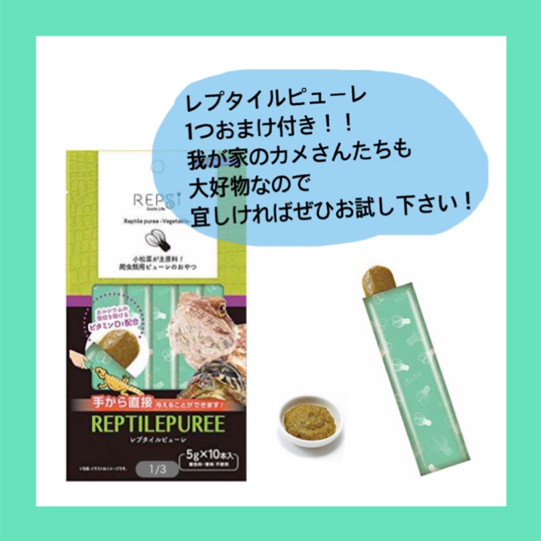 リクガメフード マズリ おまけ、商品説明書つき！！！ — image 2