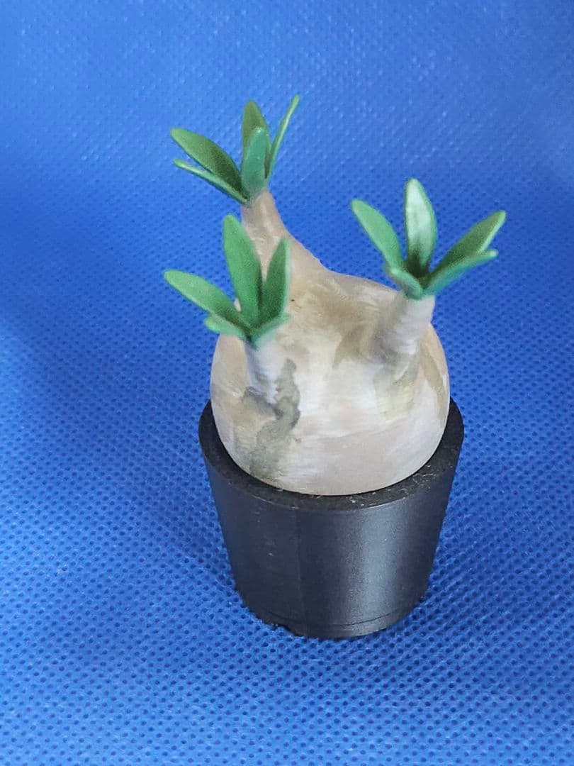 パキポディウム　グラキリス　植物型フィギュア 鉢付き 高さ約7cm — image 3