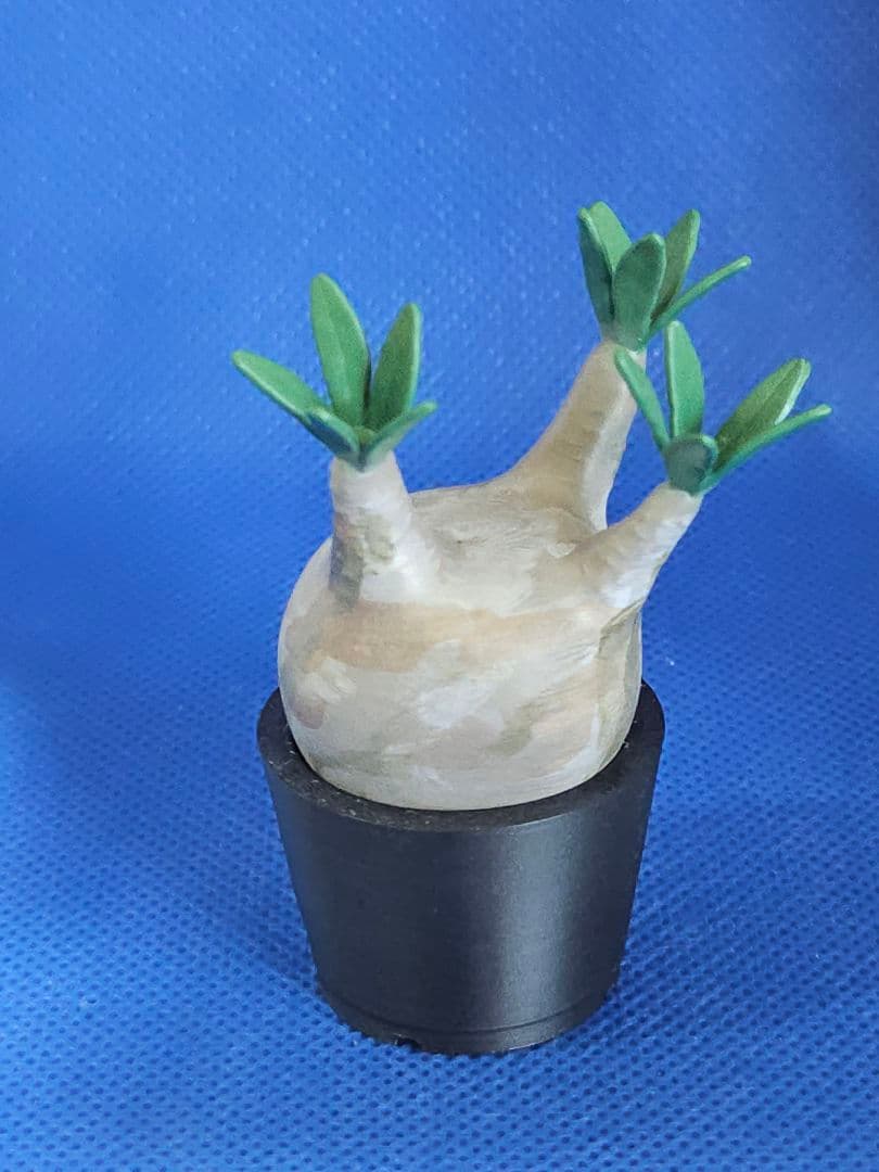 パキポディウム　グラキリス　植物型フィギュア 鉢付き 高さ約7cm — image 4