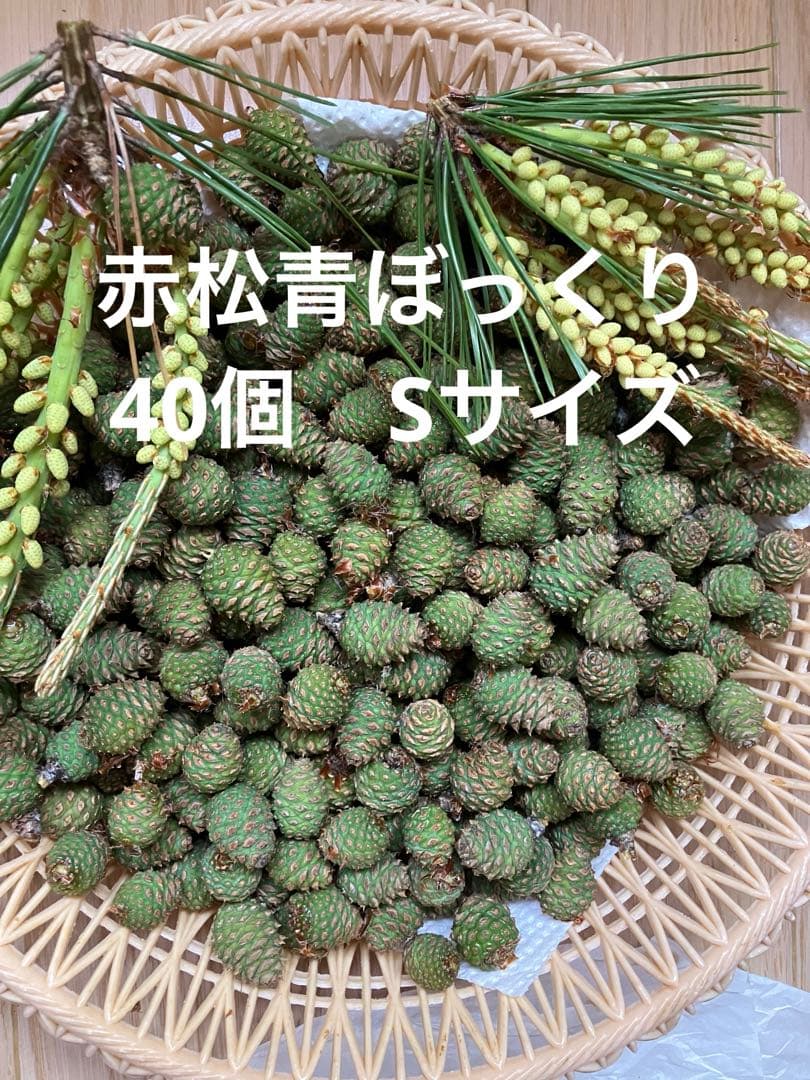 週1回の出荷 アカウント様 リクエスト 2点 まとめ商品 — image 2