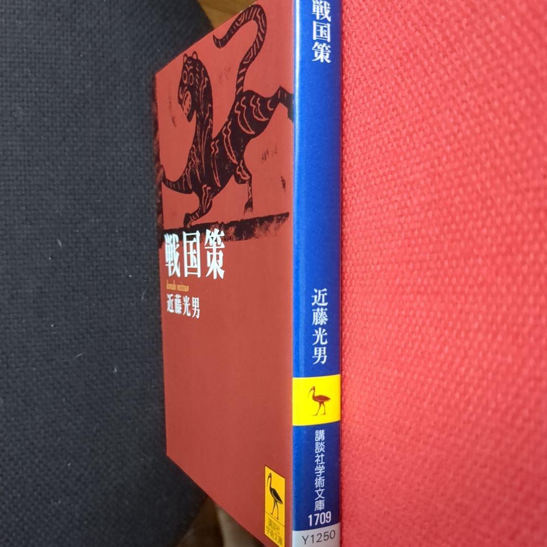戦国策【送料無匿名】 — image 4