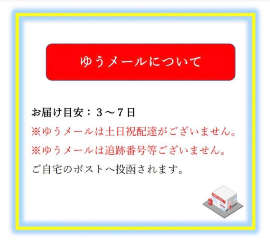 DVD　釣り　一爆狂　村上明生　琵琶湖ヘビーテキサス爆撃開始！！　※ケースなし — image 5