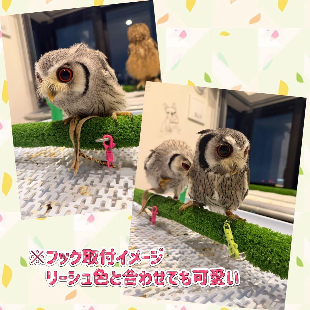 ザイルリーシュ（猛禽類フクロウ用） — image 4