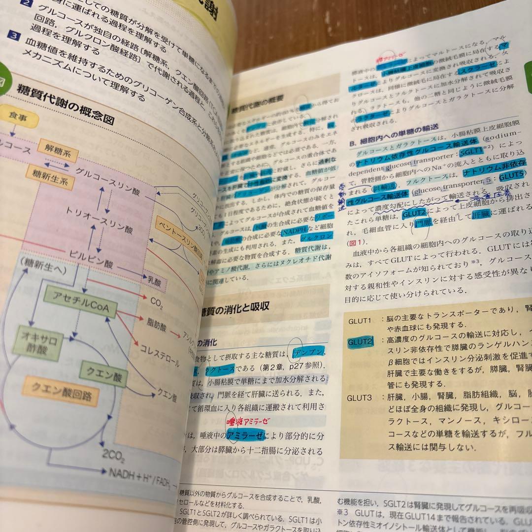 栄養科学イラストレイテッド 生化学 第3版 羊土社 — image 3