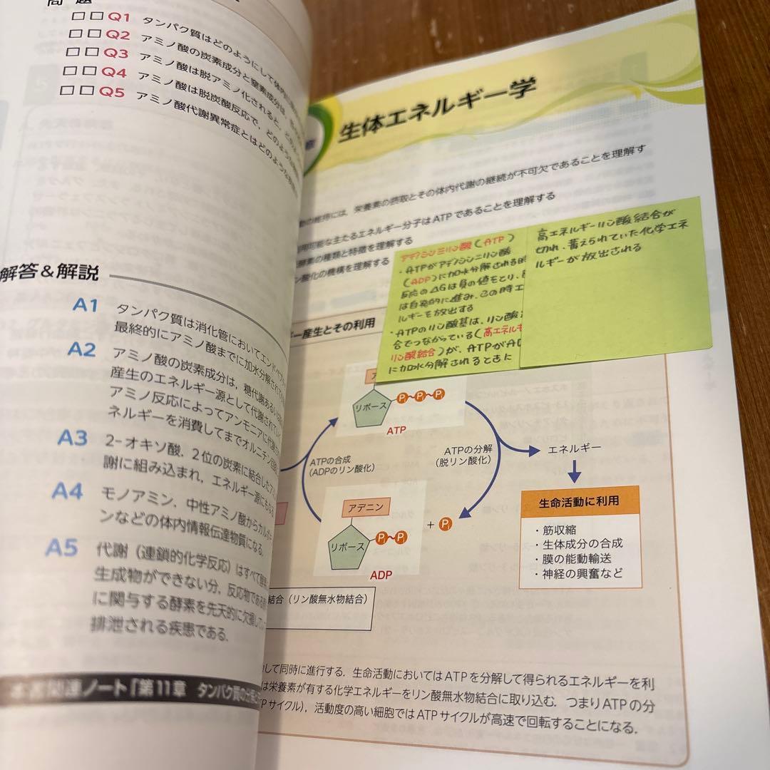 栄養科学イラストレイテッド 生化学 第3版 羊土社 — image 4
