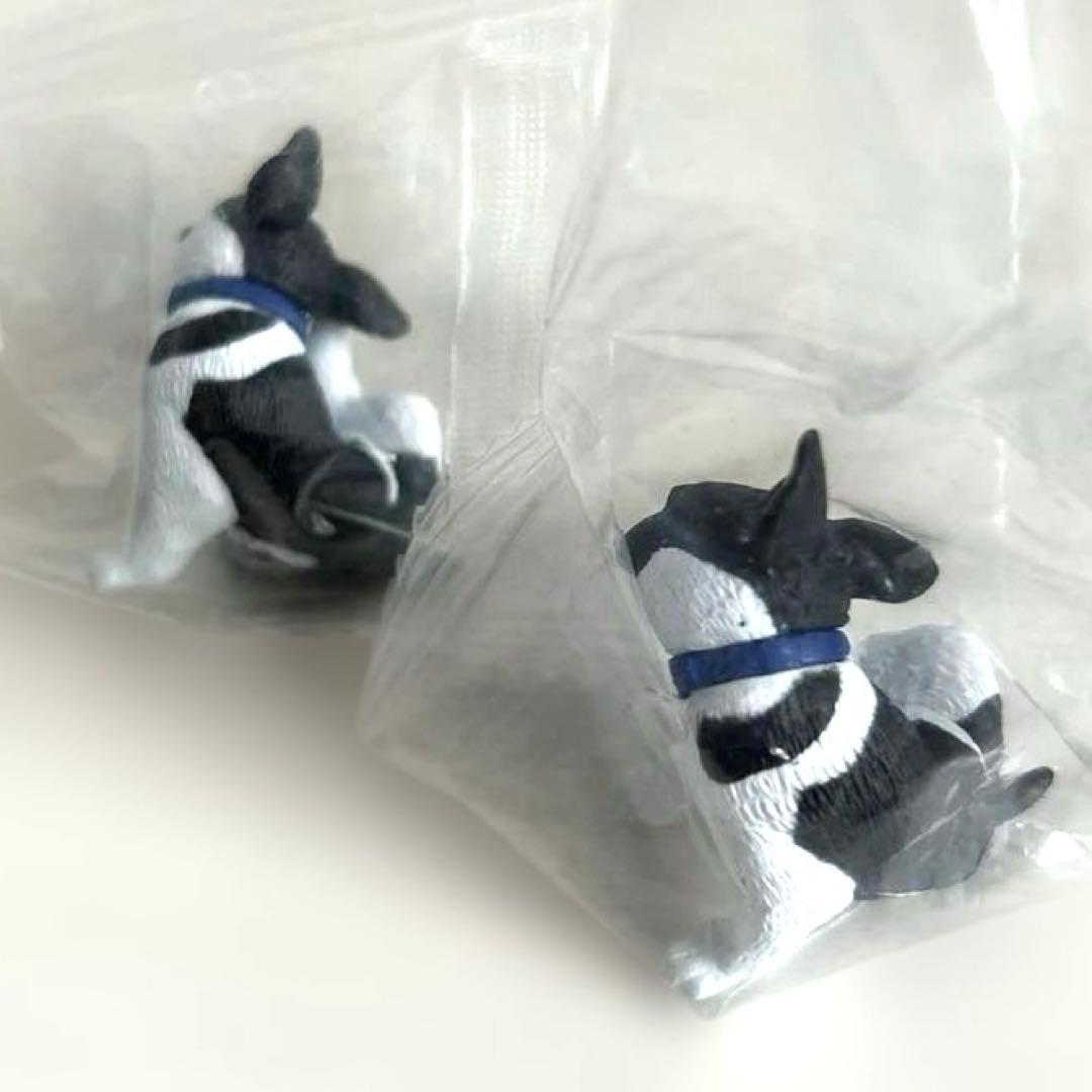 フレンチブルドッグ 2個セット　カイカイ　新品未開封 — image 3