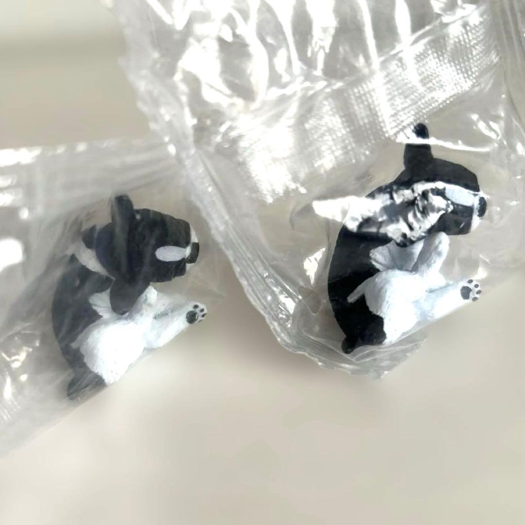フレンチブルドッグ 2個セット　カイカイ　新品未開封 — image 4