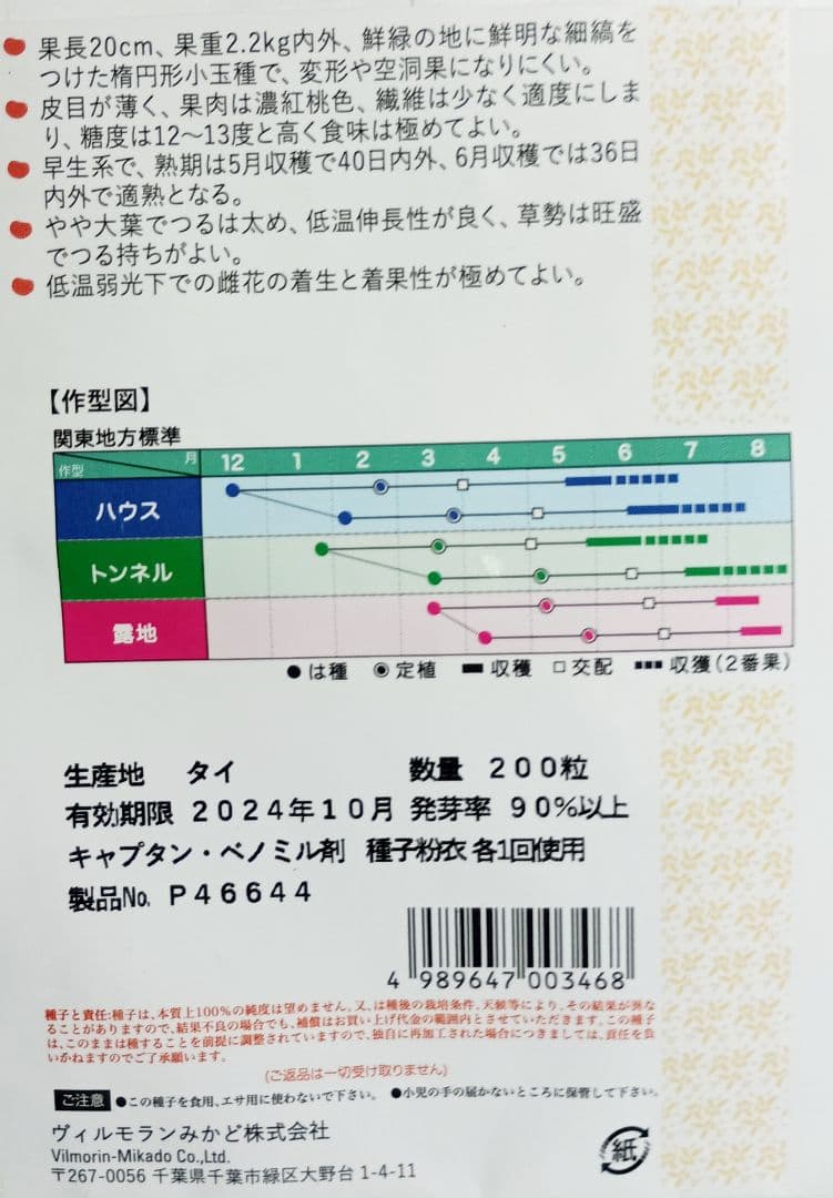スイカ苗　2苗　マダーボール　希少価値の自家採種苗 — image 3