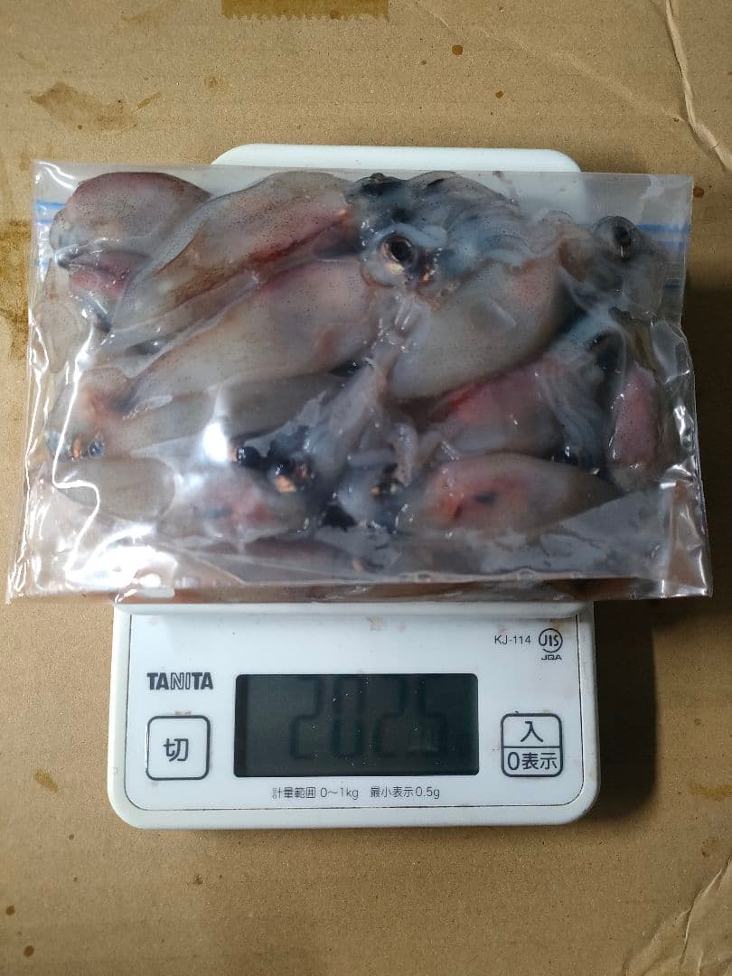 釣餌 ホタルイカ 6月 蛍烏賊 富山　200g×8 1.6kg — image 2