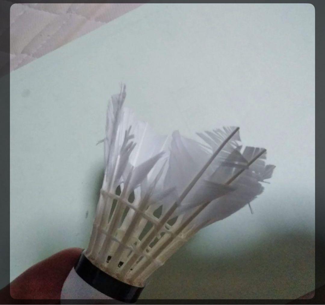 中古シャトル — image 3