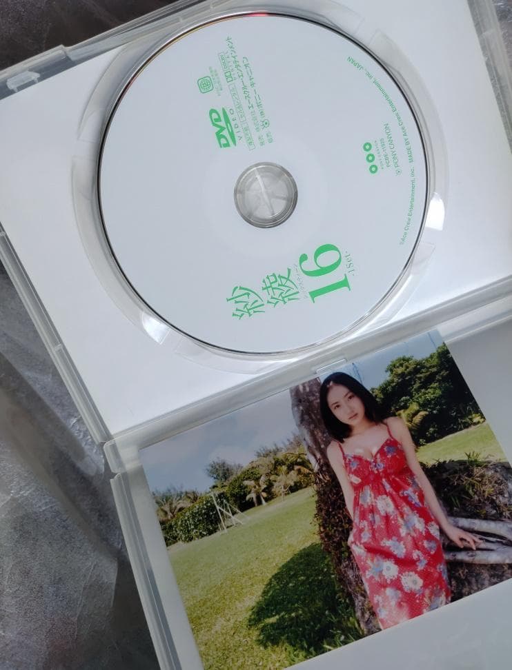 紗綾 16 -1Set- DVD — image 3