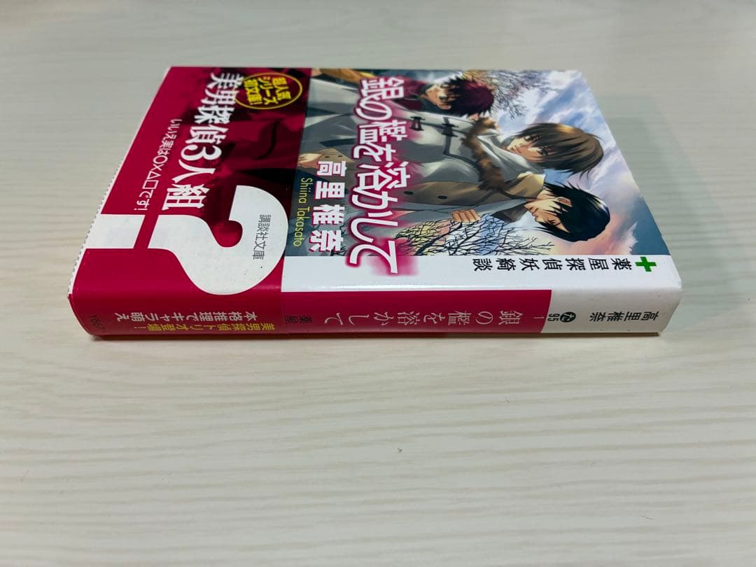 銀の檻を溶かして 高里椎奈 講談社文庫 — image 4
