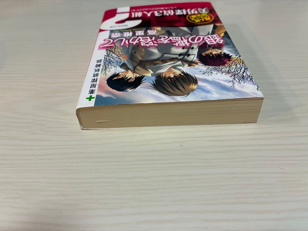 銀の檻を溶かして 高里椎奈 講談社文庫 — image 5