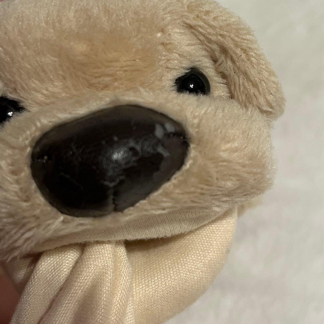 ラブラドール　クリーナー — image 4