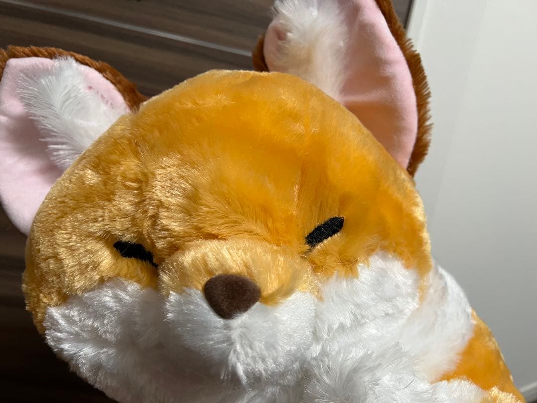 ちょコンとキツネ きなこ くるんとおねむ ウルトラBIG ぬいぐるみ タグ付き — image 5