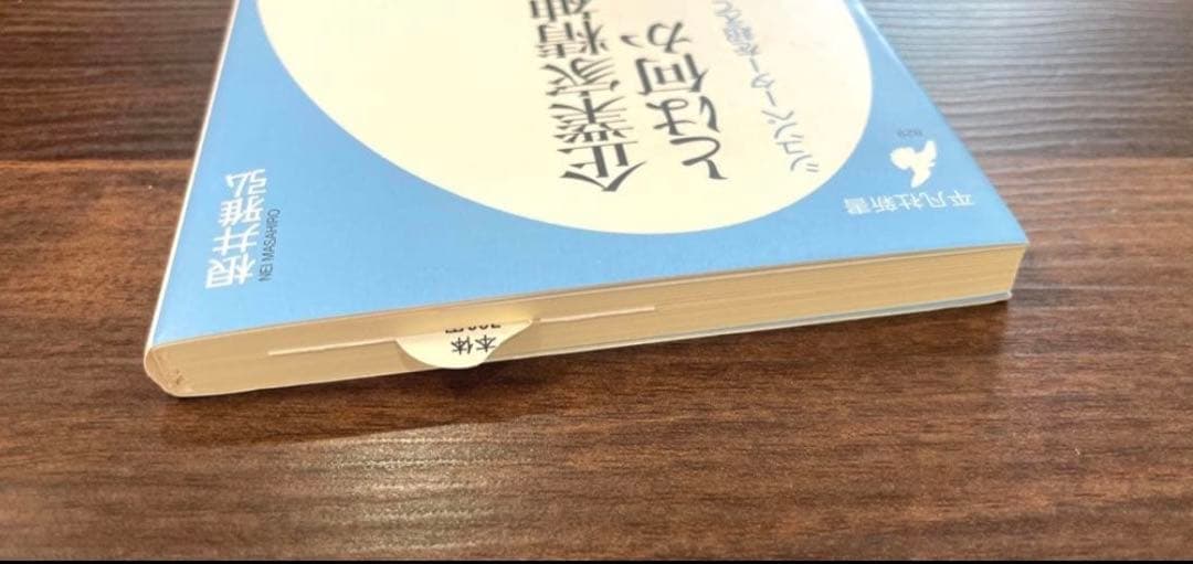 【匿名配送】企業家精神とは何か シュンペーターを超えて — image 3