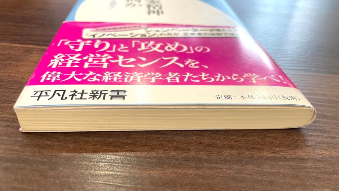 【匿名配送】企業家精神とは何か シュンペーターを超えて — image 5