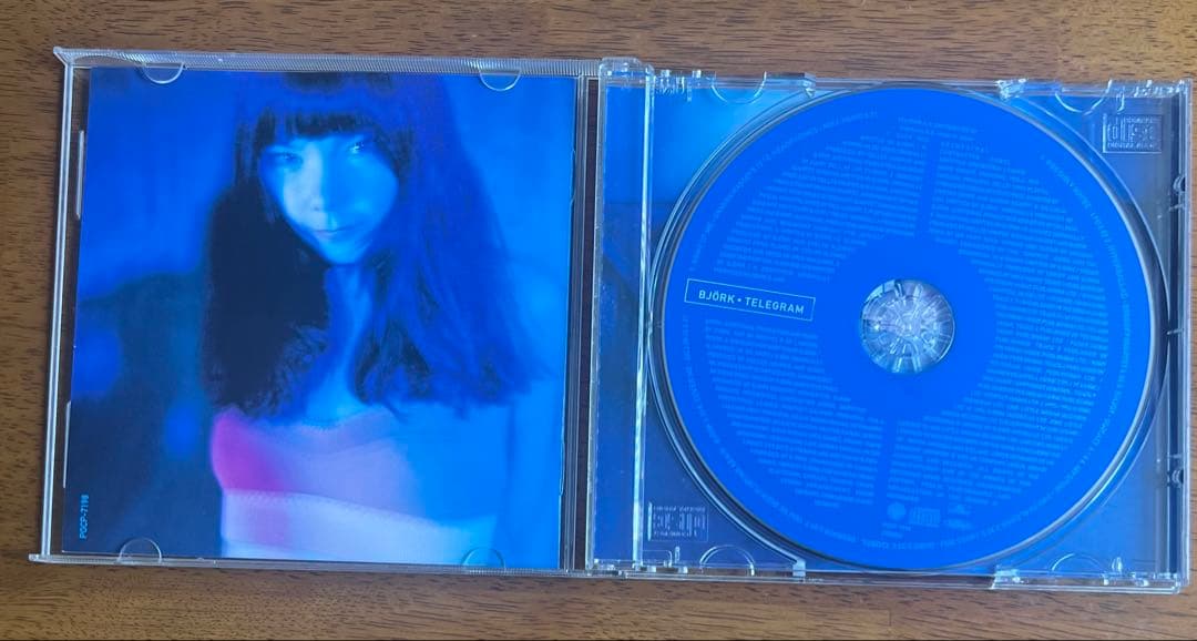 【国内盤】ビョーク テレグラ厶 【帯付き】 — image 3