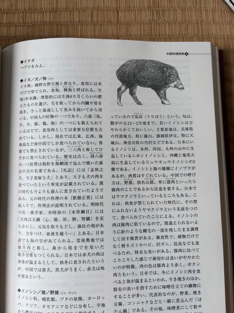 中国料理辞典 全2巻セット 原田治 — image 5