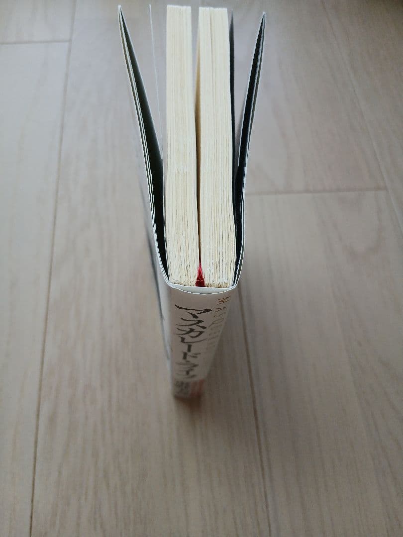 マスカレード・ライフ — image 3
