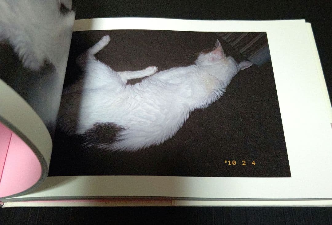 チロ愛死 写真集 — image 3