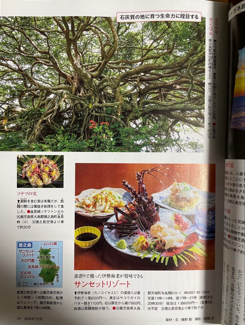 サライ 2026年7月号 雑誌 — image 3
