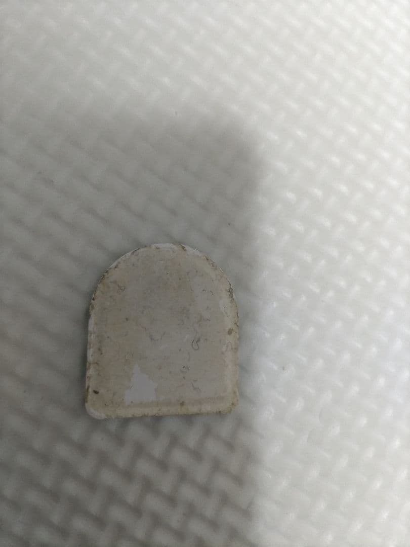 レンチキュラー　シール　シャワーズ — image 3