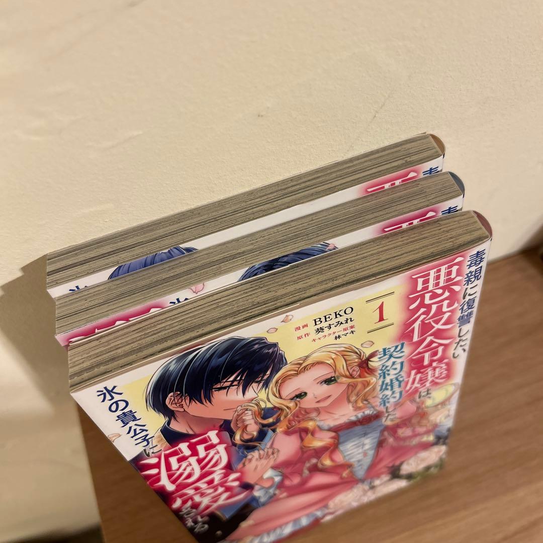 毒親に復讐したい悪役令嬢は、契約婚約した氷の貴公子に溺愛される — image 2