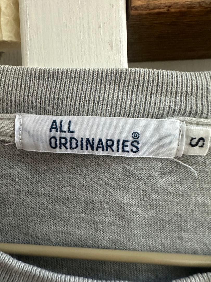お値下げ☆オールオーディナリーズ/ALL ORDINARIE/Tシャツ/S — image 3