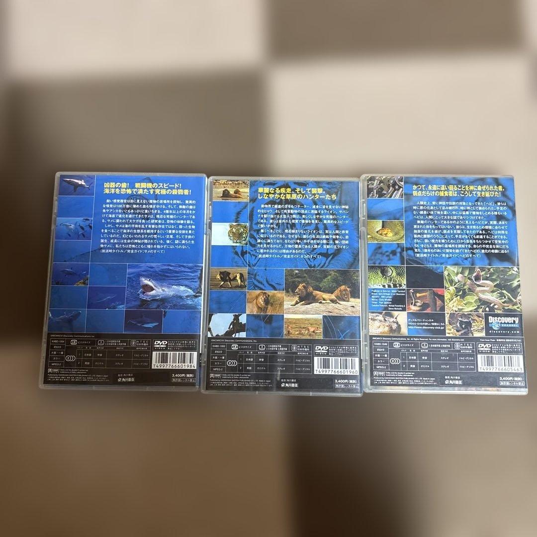Discovery Channel DVD サメ ライオン ヘビ — image 2