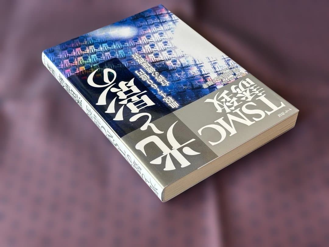 光と影のTSMC誘致　著者：深田萌絵 — image 3