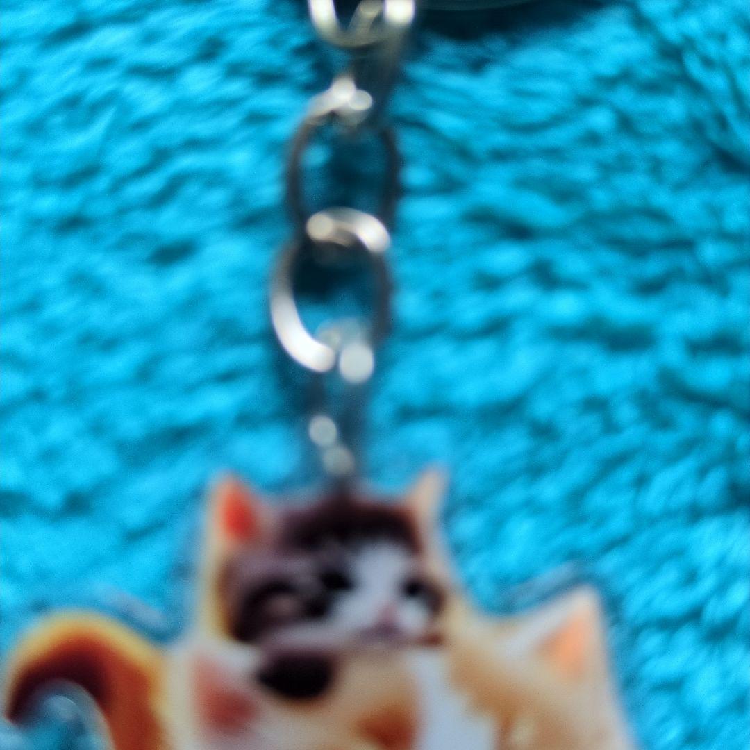新品未使用で可愛い子猫 親子 アクリルキーホルダーです — image 3