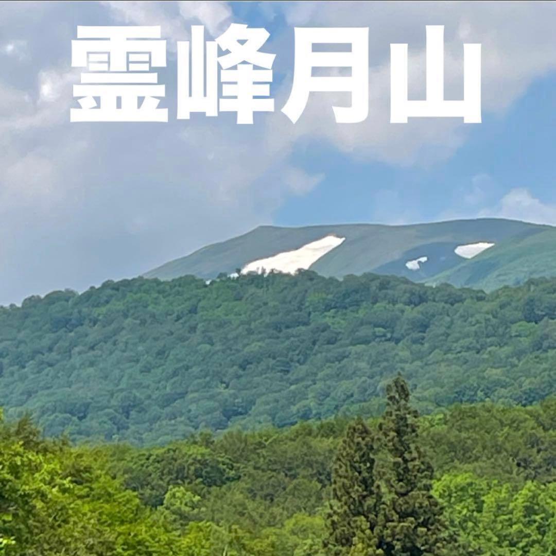 ❤️毎年大人気❣️ 天然 月山筍 箱込み約1キロB級品 根曲がり竹 姫竹 山菜668 — image 4