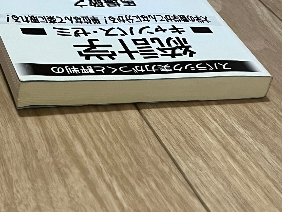 スバラシク実力がつくと評判の統計学 キャンパス・ゼミ — image 3
