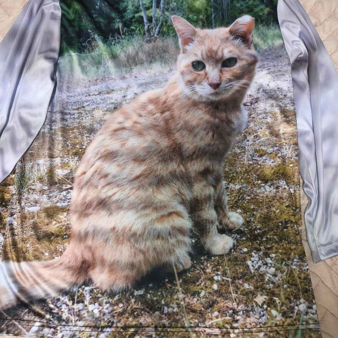 猫シャツ チャトラ プリント 長袖 Mサイズ — image 2