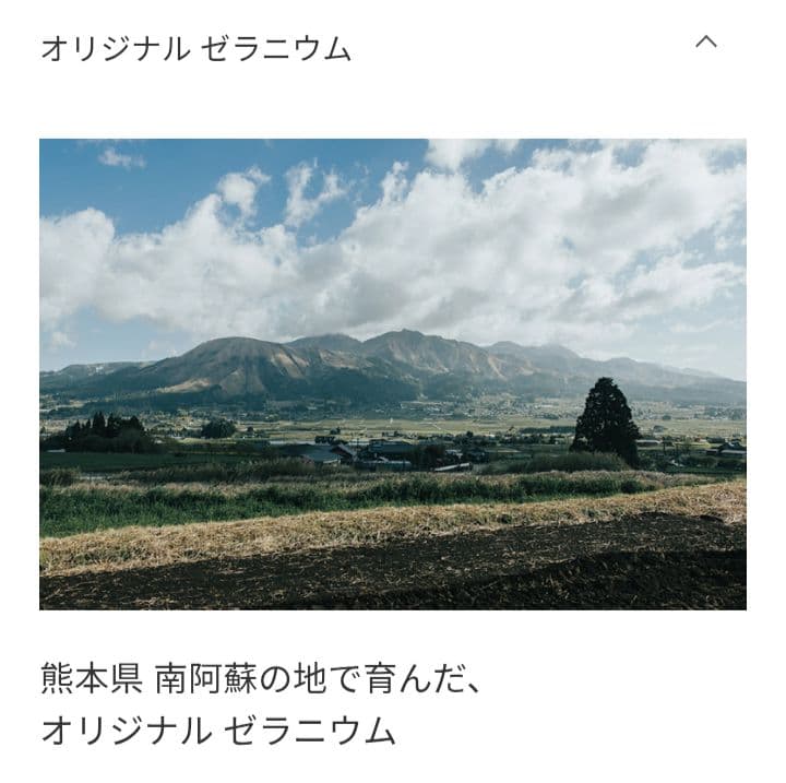 THREE レイヤード アロマ キット＆ハンドタオル — image 4