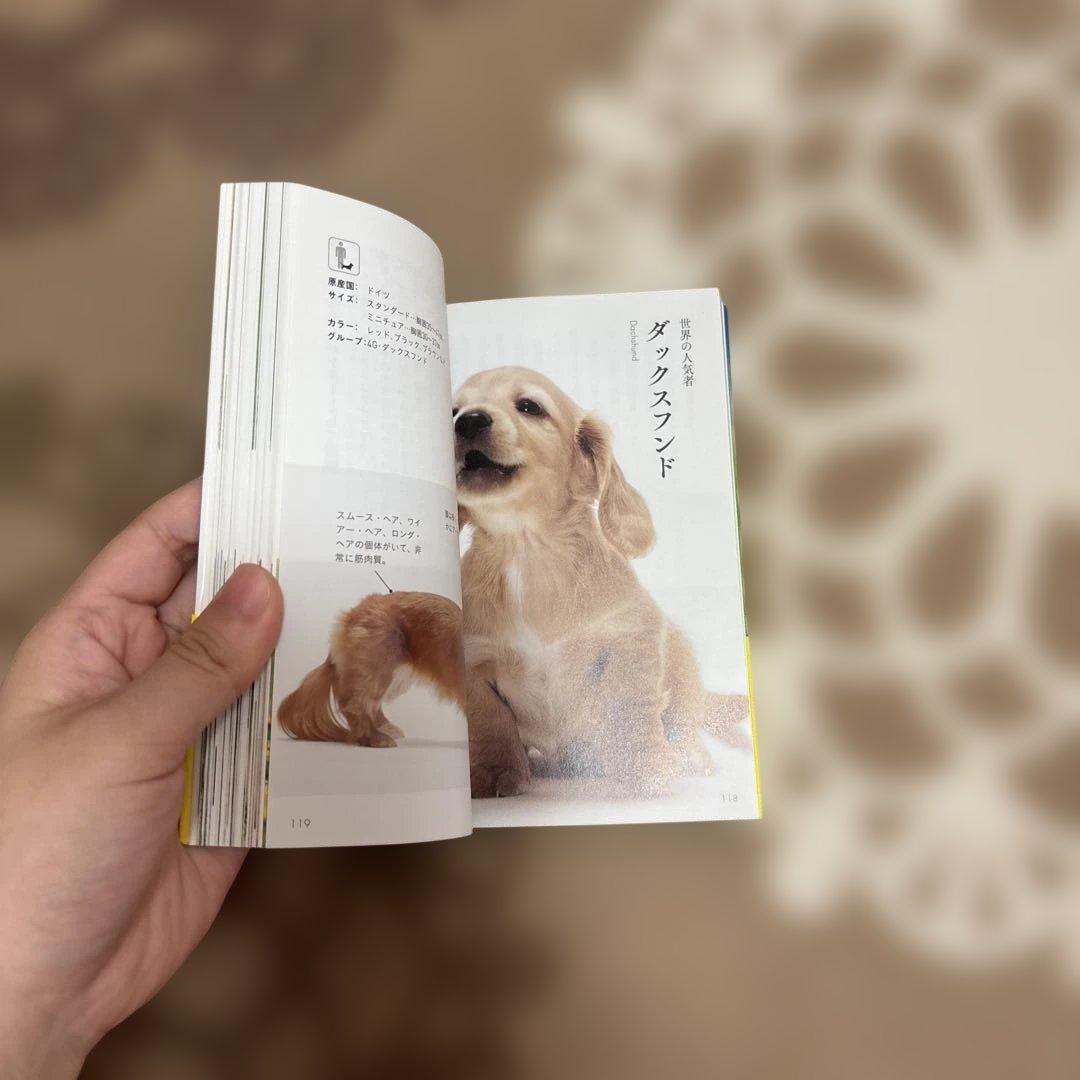 見るだけで癒される 愛らしすぎる犬図鑑 — image 5