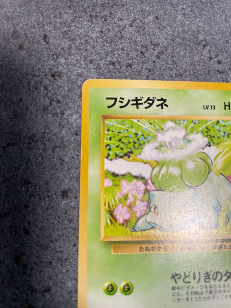 ポケモンカード フシギダネ ヒトカゲ ゼニガメ 3枚セット — image 4