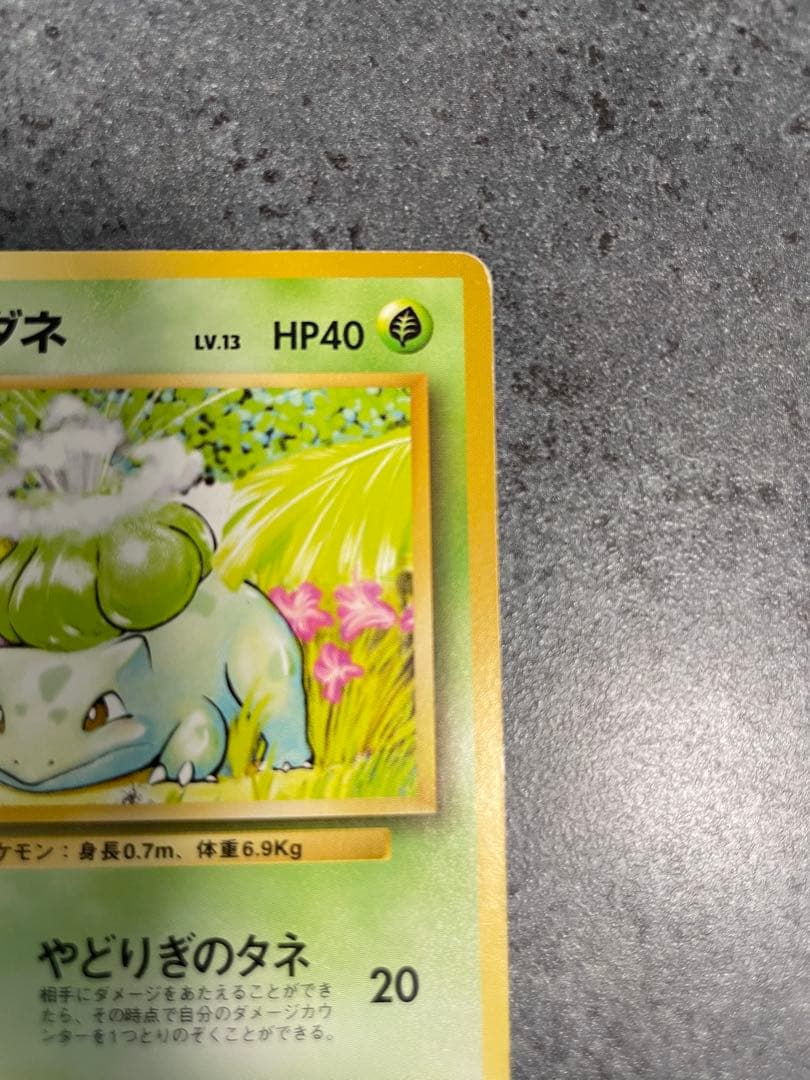 ポケモンカード フシギダネ ヒトカゲ ゼニガメ 3枚セット — image 5