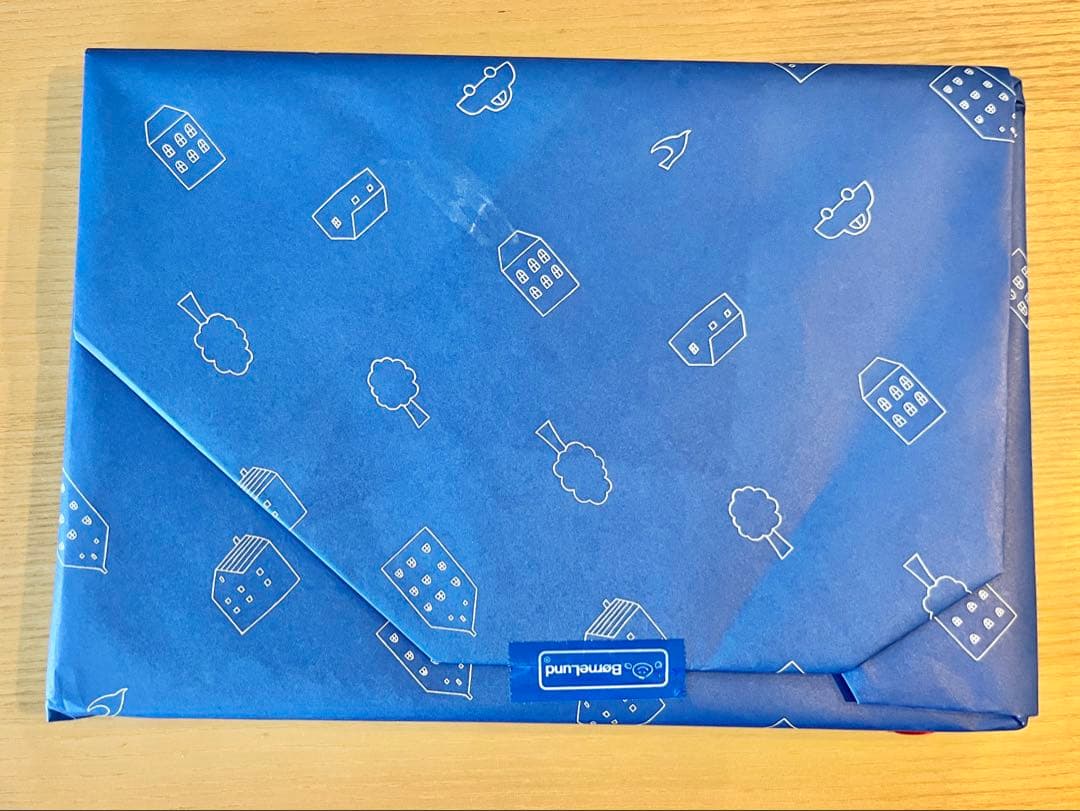 BorneLund ボーネルンド ピックアップパズル　ラッピング有り — image 5